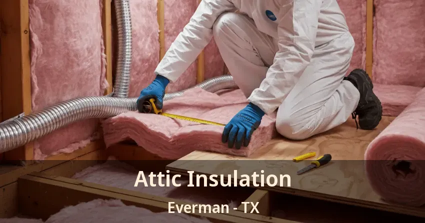 Attic Insulation Everman - TX