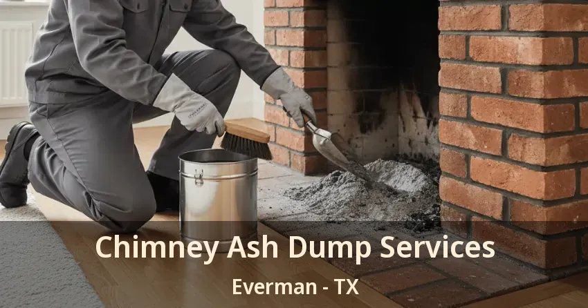 Chimney Ash Dump Services Everman - TX