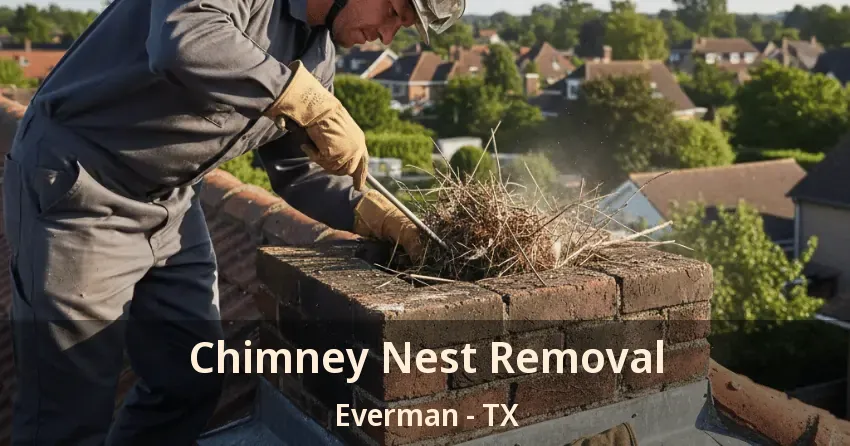 Chimney Nest Removal Everman - TX