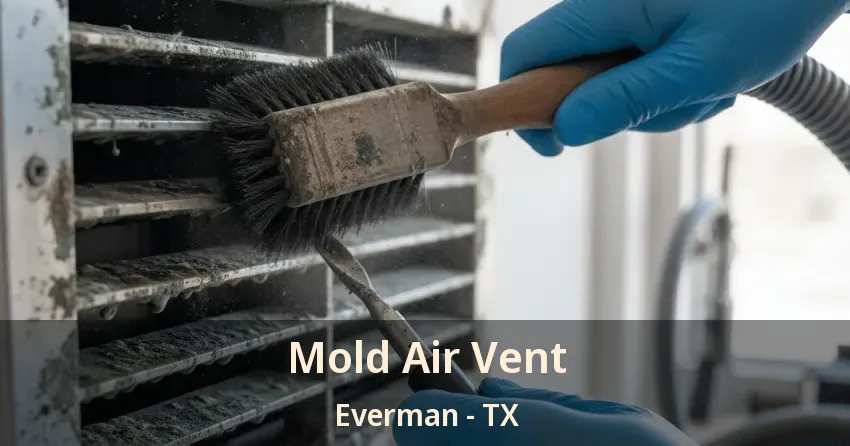Mold Air Vent Everman - TX