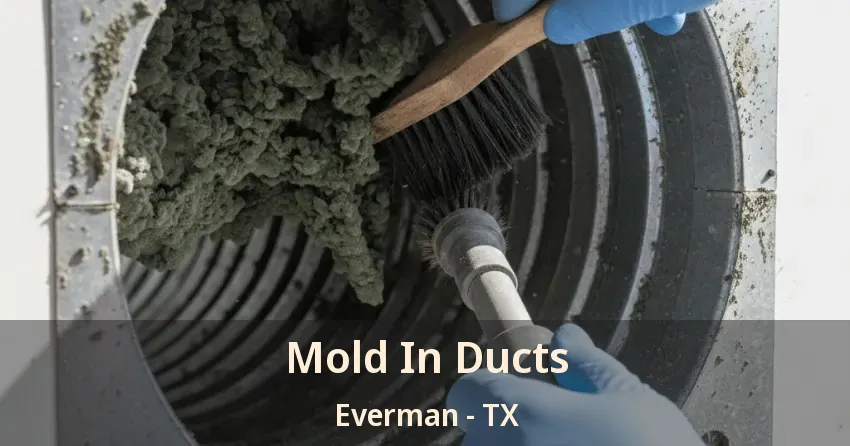 Mold In Ducts Everman - TX