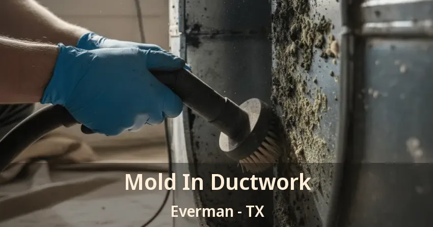 Mold In Ductwork Everman - TX