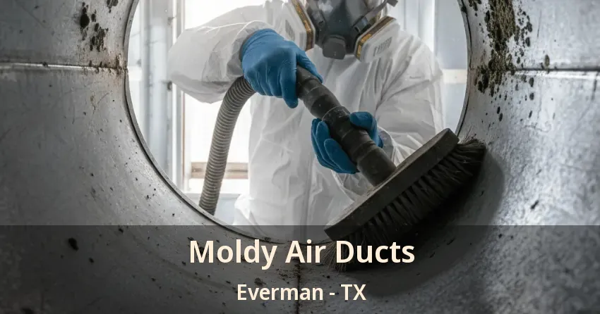 Moldy Air Ducts Everman - TX